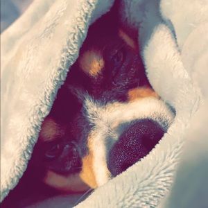 Meet your Posher, Jaclyn